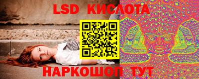 apvp Канаш