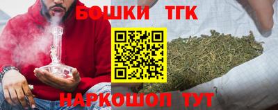 гашик Камышлов