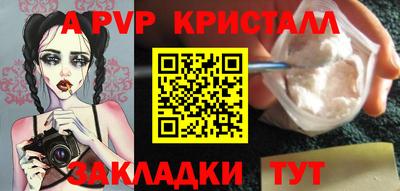 гашик Камышлов