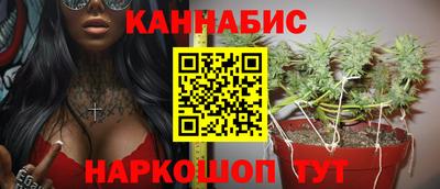 гашик Камышлов