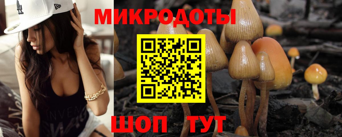 Кемерово  Псилоцибиновые грибы мицелий  Вход с VPN 