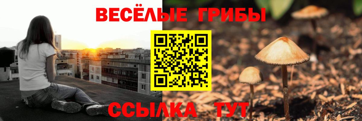 Галлюциногенные грибы Magic Shrooms Кемерово
